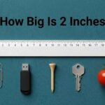 How Big Is 2 Inches: Compare With Common Objects