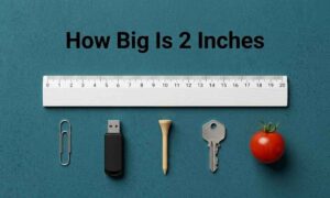 How Big Is 2 Inches Compare With Common Objects