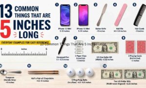 13 Common Things That Are 5 Inches Long