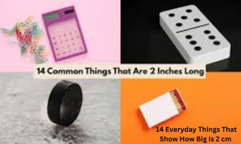 14 Everyday Things That Show How Big Is 2 cm