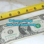18 Common Things That Are 8 Inches Long
