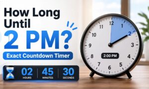How Long Until 2 PM Exact Countdown Timer