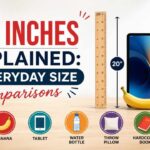 20 Inches Explained: 7 Everyday Size Comparisons