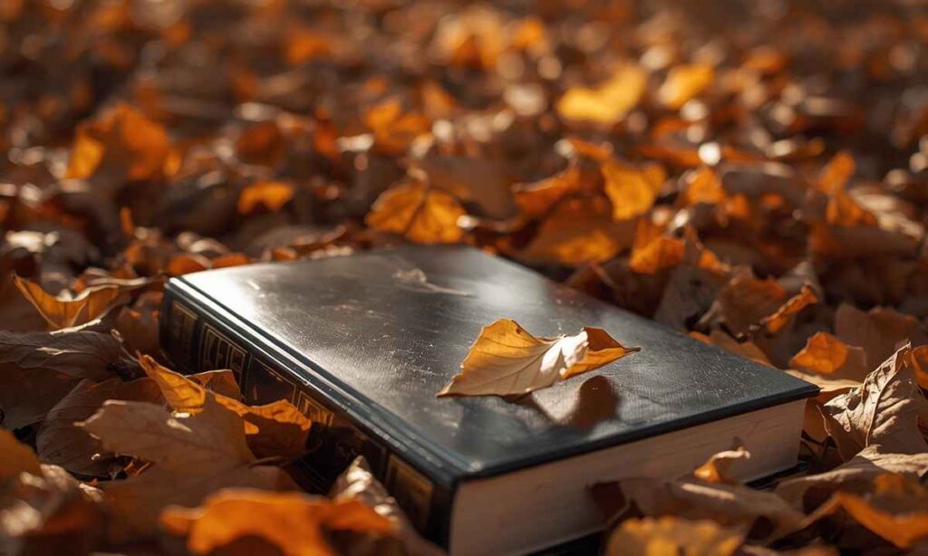 A Hardcover Novel