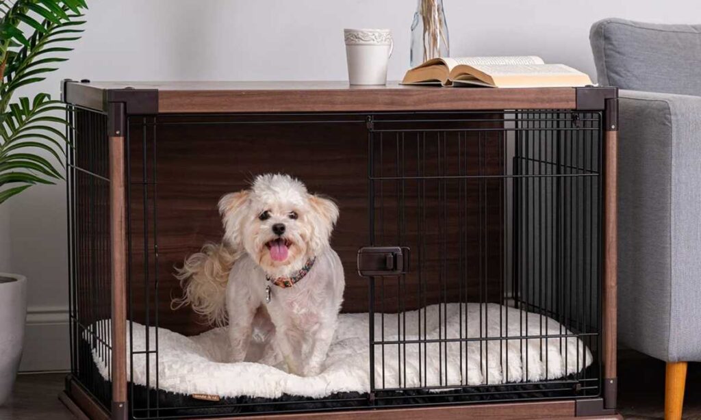 A Medium Dog Crate