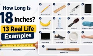 How Long Is 18 Inches 13 Real Life Examples
