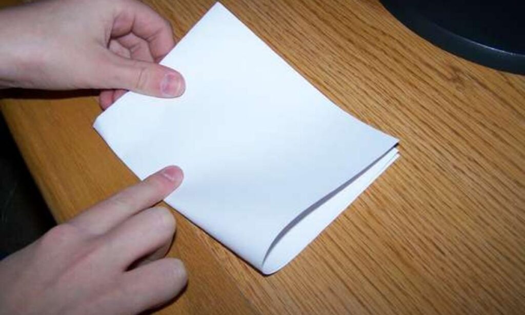  Standard Sheet of Paper (Width, Folded Once)